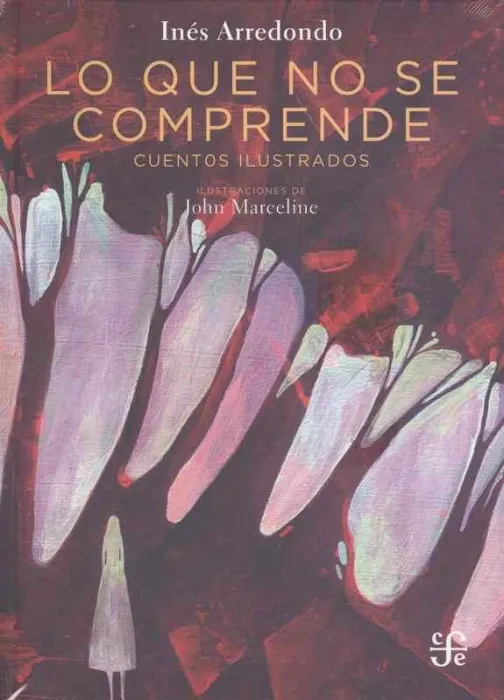 Lo que no se Comprende. Cuentos Ilustrados