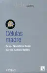 Células Madre
