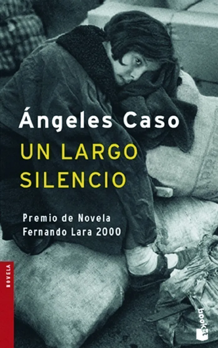 Un Largo Silencio