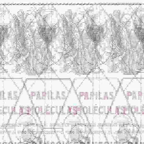 Papilas y Moleculas
