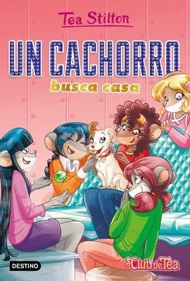 Ts-Vr35. Un Cachorro Busca Casa