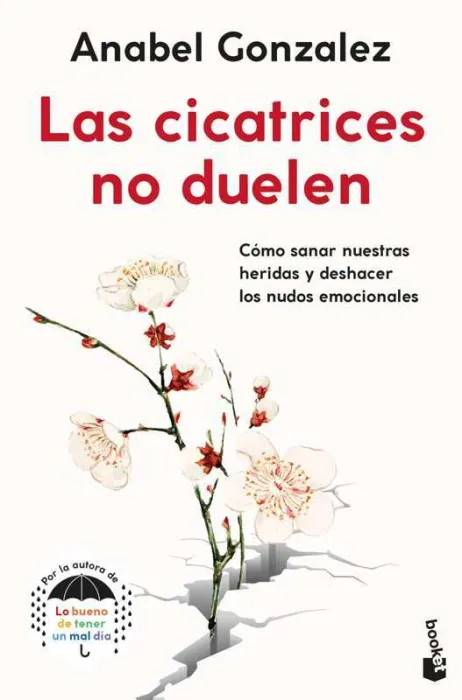 Las Cicatrices no Duelen