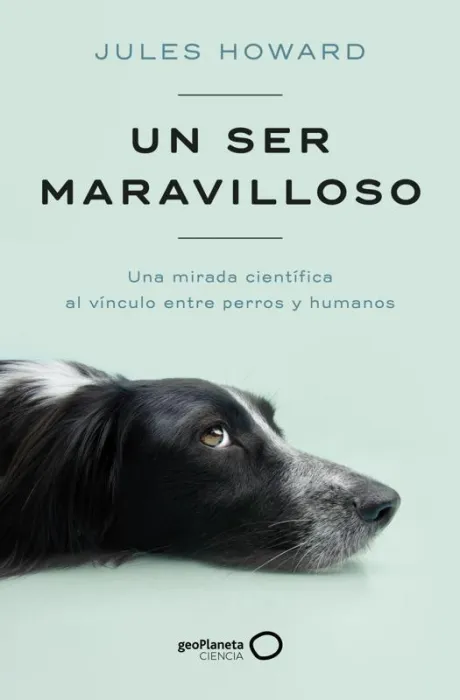 Un Ser Maravilloso