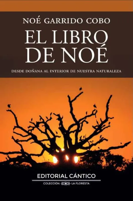 Libro de Noé, el