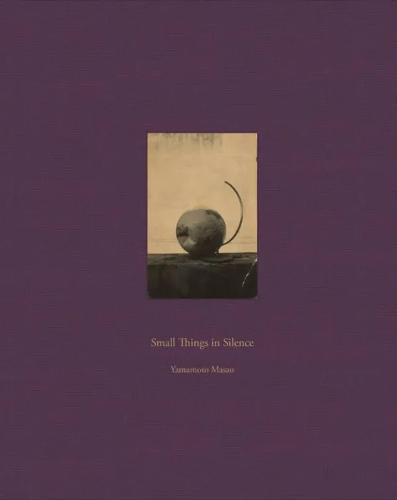 Small Things In Silence Third Edition