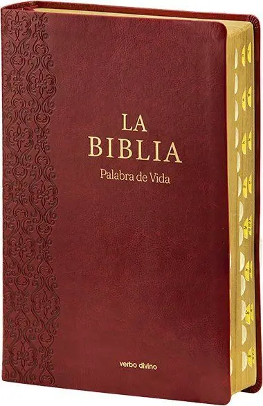 La Biblia (Palabra de Vida) Letra Extragrande