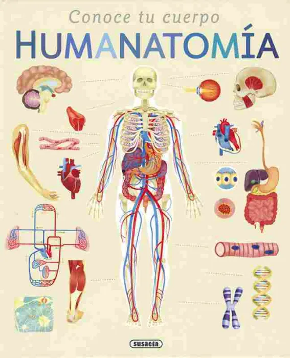 Humanatomia