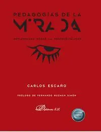 Pedagogías de la Mirada
