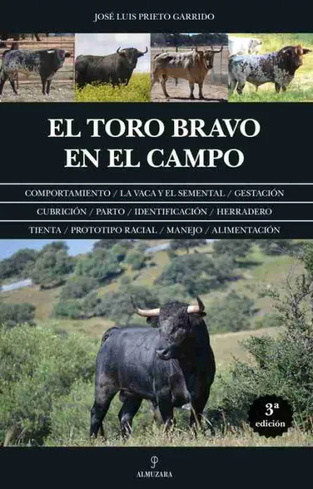 El Toro Bravo en el Campo