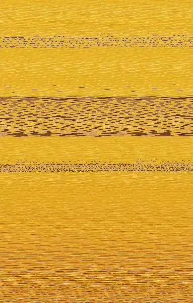 Propóleo