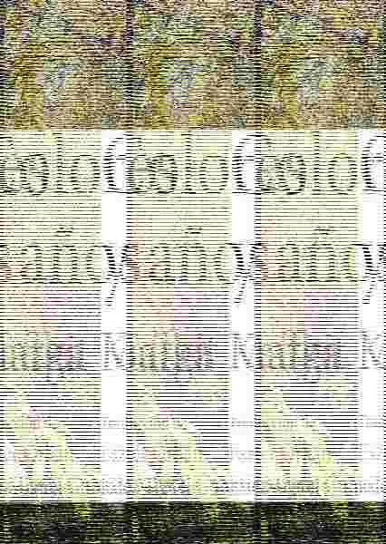 Colores y Años