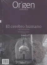 El Cerebro Humano