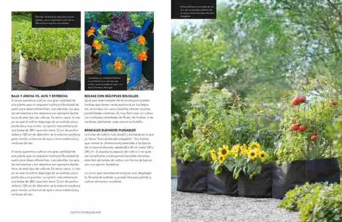 Cultivo en Bolsas