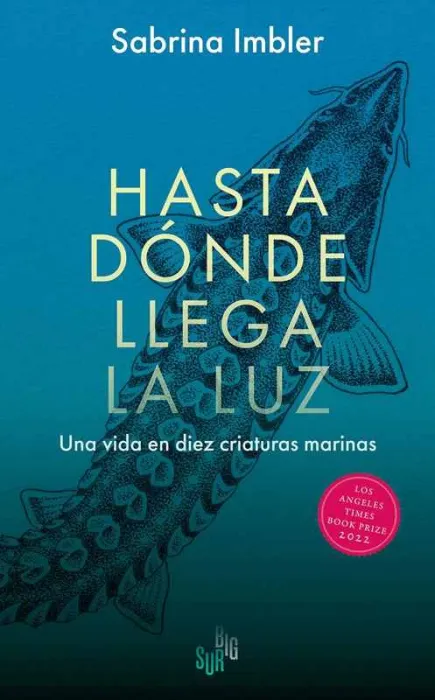 Hasta Dónde Llega la Luz