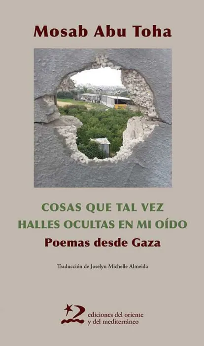 Cosas que Tal Vez Halles Ocultas en mi Oido