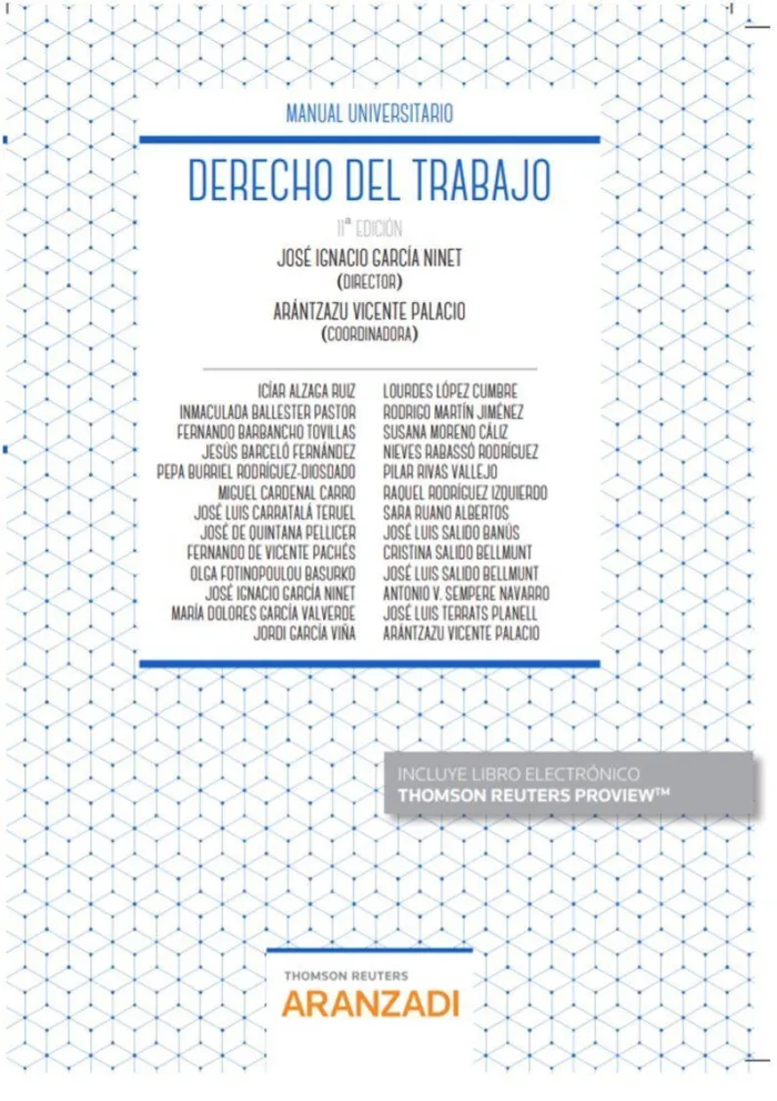 Derecho del Trabajo (Papel + E-Book)