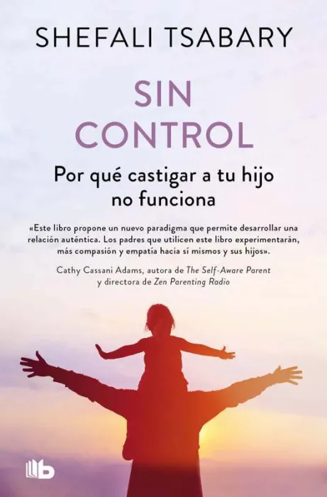 Sin Control