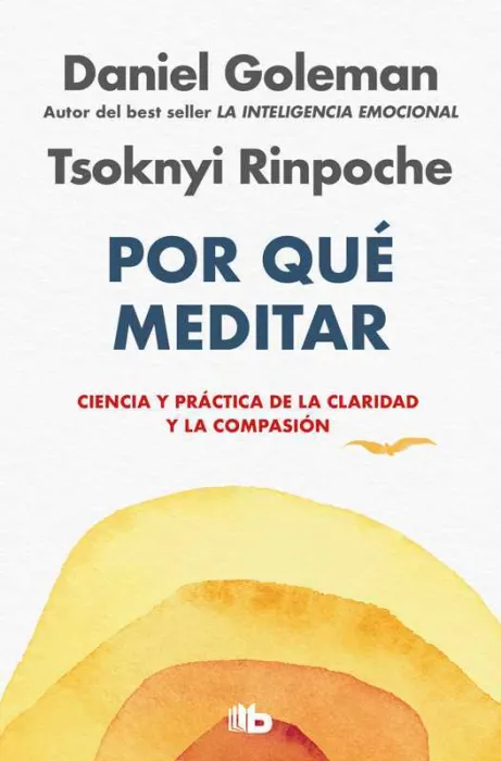 Por qué Meditar