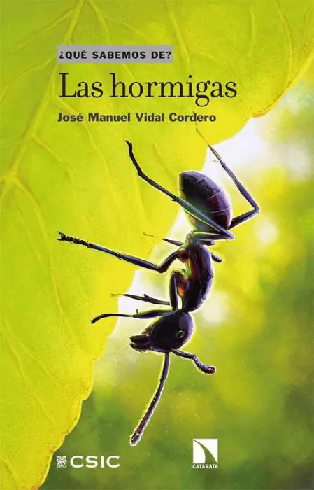 Las Hormigas