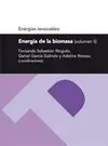 Energía de la Biomasa, Volumen Ii