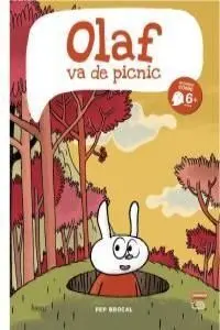 Olaf Va de Picnic
