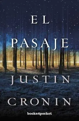 El Pasaje