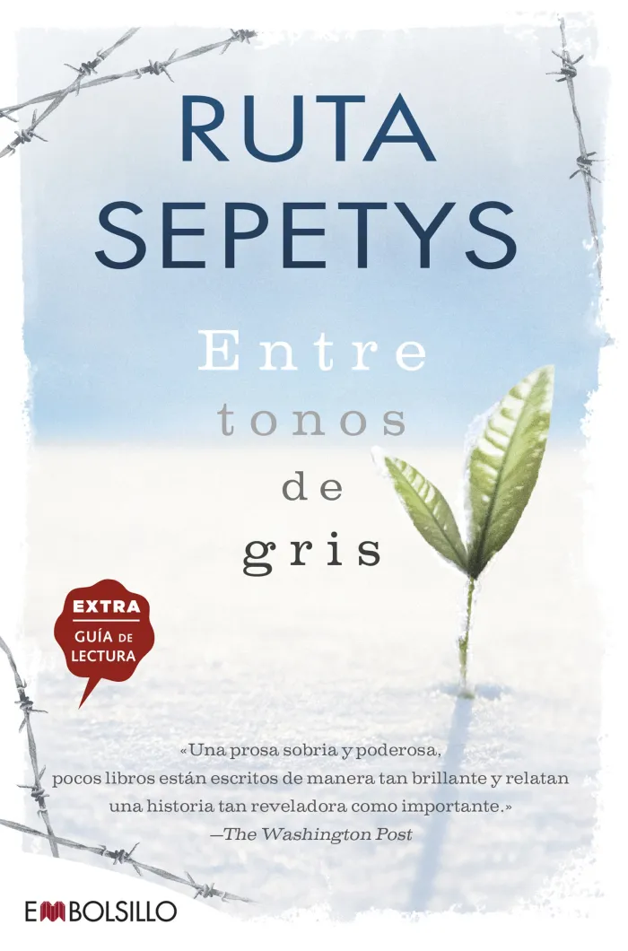 Entre Tonos de Gris