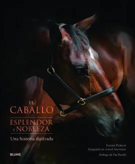 El Caballo. Esplendor y Nobleza