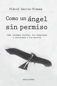 Como un Angel sin Permiso