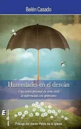 Humedades en el Desván