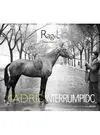 Ragel. Madrid Interrumpido