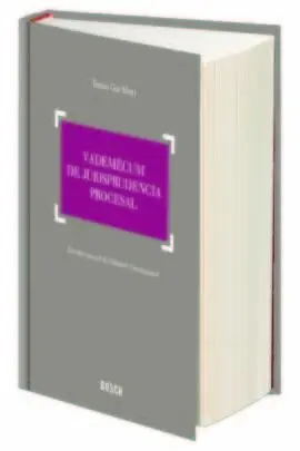 Vademécum de Jurisprudencia Procesal