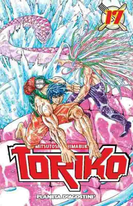 Toriko Nº17