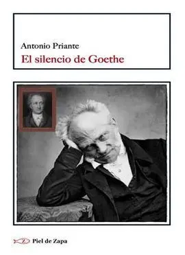 Silencio de Goethe,El