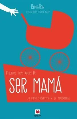 Pequeñas Ideas Antes de Ser Mamaa