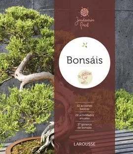 Bonsais