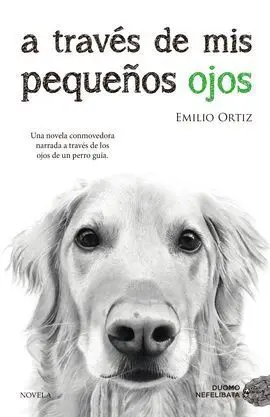 A Través de Mis Pequeños Ojos