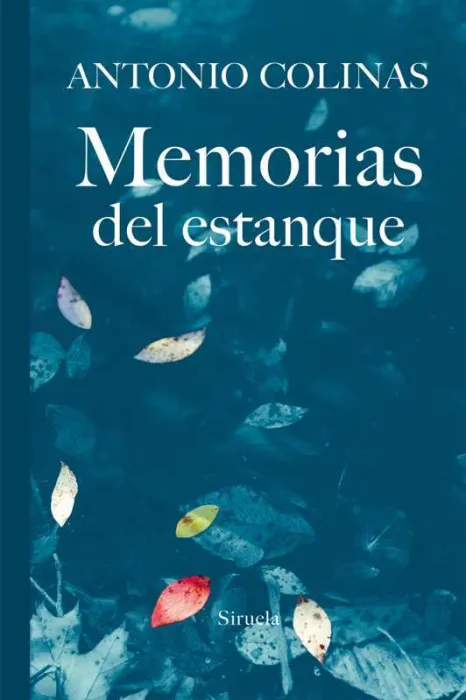Memorias del Estanque
