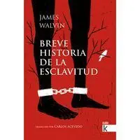 Breve Historia de la Esclavitud