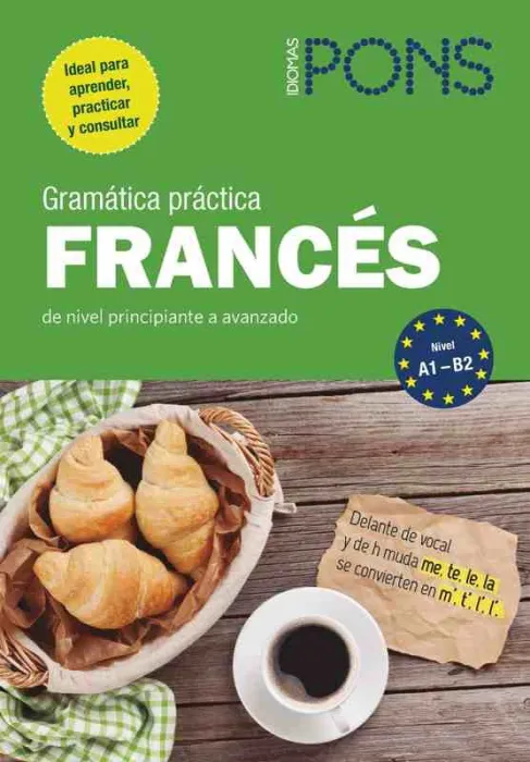 Gramática Práctica Francés