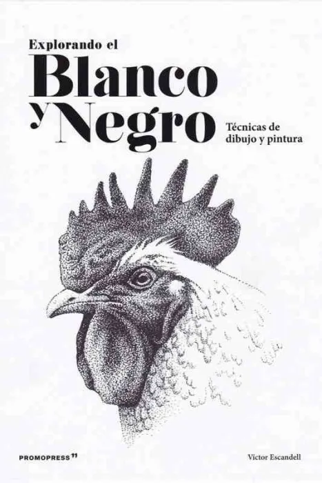 Explorando el Blanco y Negro
