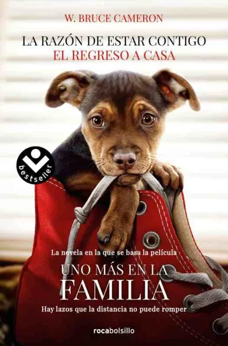El Regreso a Casa