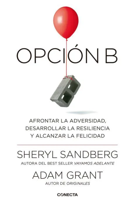 Opción B