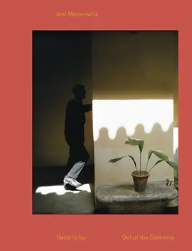 Hacia la Luz