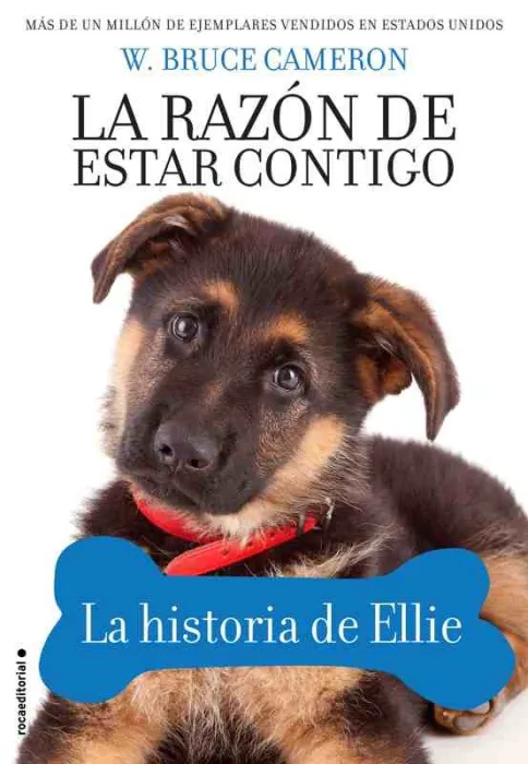 La Razón de Estar Contigo