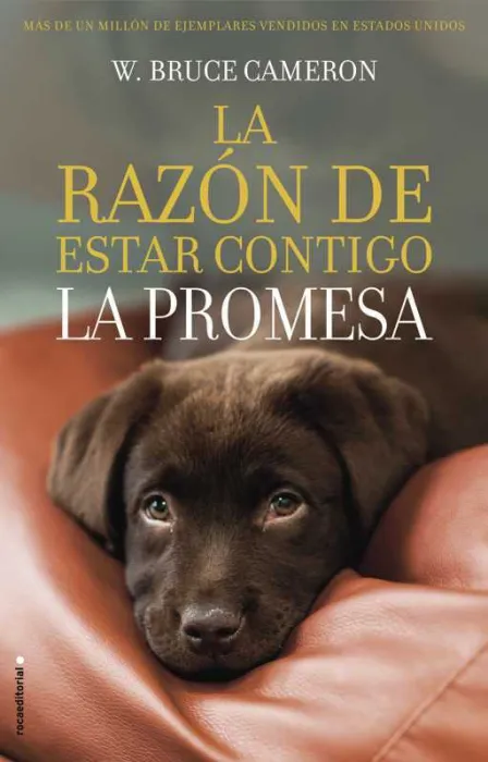 La Razón de Estar Contigo. La Promesa