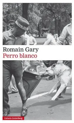 Perro Blanco