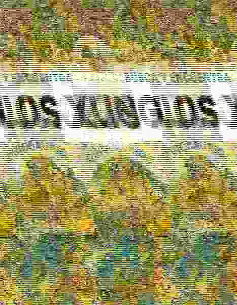 Xunguis entre Dinosaurios
