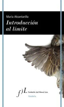 Introducción Al Límite