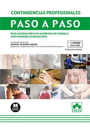 Contingencias Profesionales. Paso a Paso